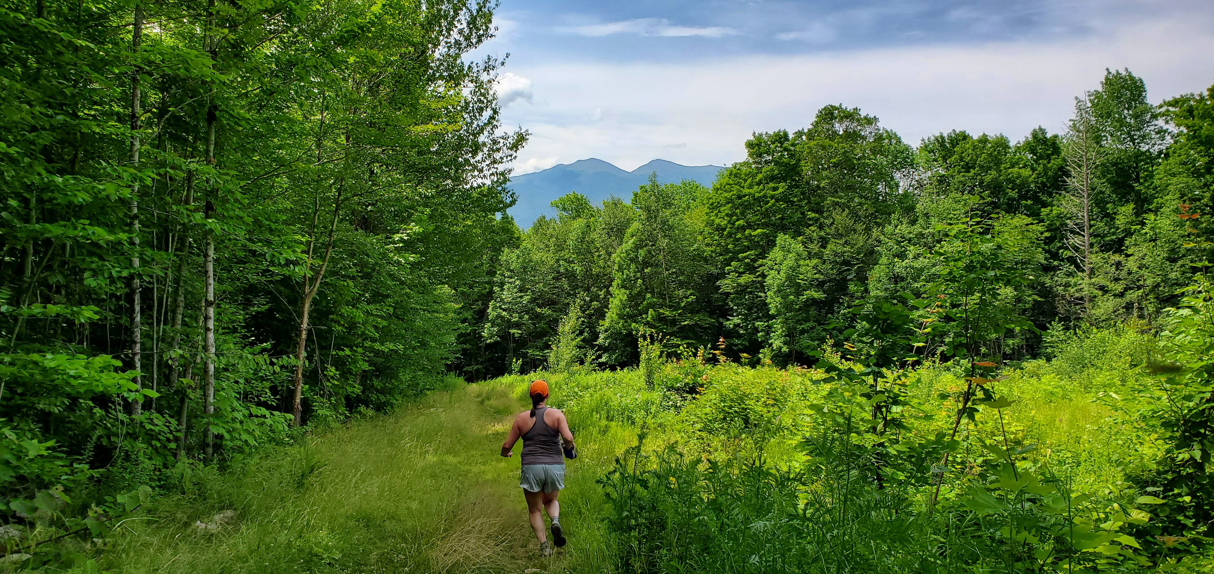 Chickpea in the White Mountains