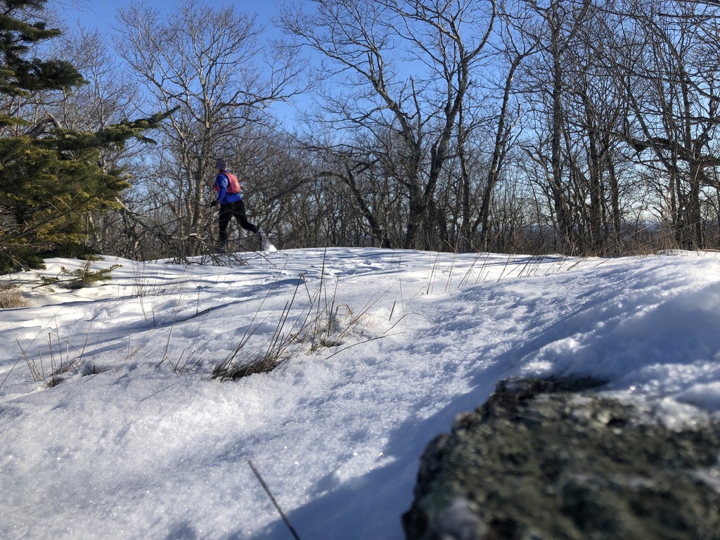 Chickpea trail running on a snowy ridge
