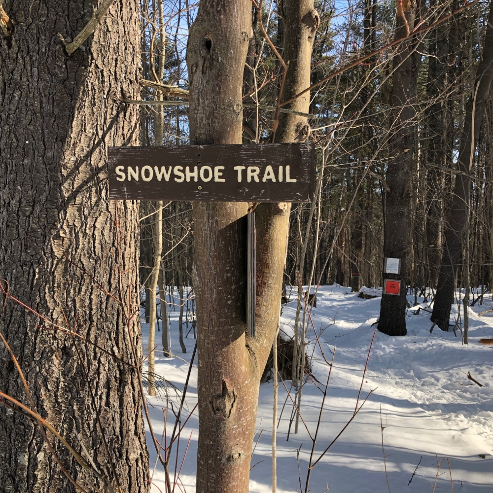 I can't say enough nice things about the snowshoe trail network at Mt. Blue State Park.