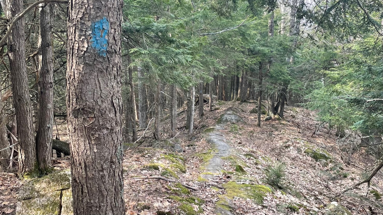 Ridge Trail is consistently fun!