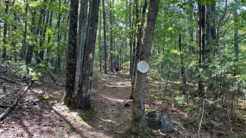 the only singletrack was well marked with paper plates which showed up amazing at night