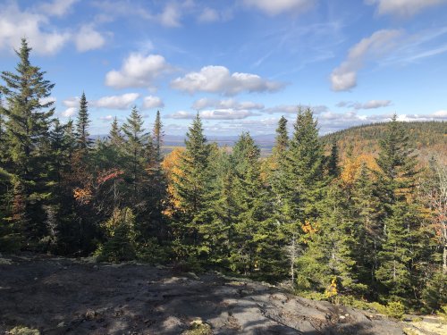 The trail has a few open views before the summit