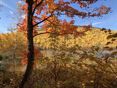 Along Pogy Notch Trail