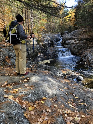 Lentil admiring the cascade falls