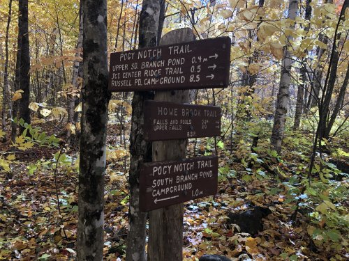 Pogy Notch signs