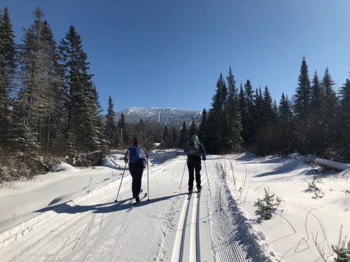 Rangeley Lakes Trail Center is located near the base of Saddleback's alpine operations.