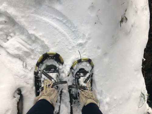 I needed a short walk on snowshoes so much more than I needed a long run!
