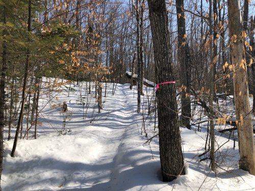 Although I wanted to run two trails, I wound up trailbreaking in six inches of fresh snow on my running snowshoes. My purpose was to work hard for 90 minutes, so I had to let go of the second trail in order to move towards larger ultimate goals.