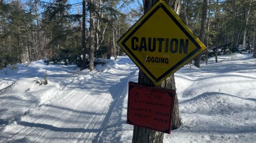 Hazards are usually well marked on trails