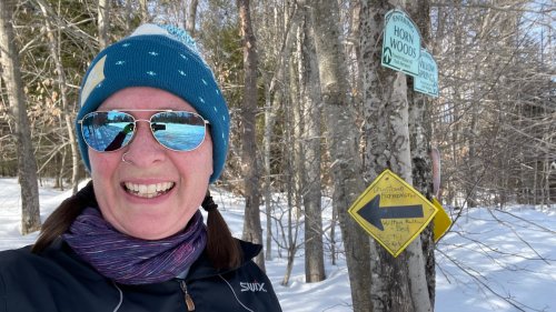 Our public woods is bisected by a snowmobile trail.