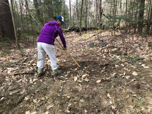 Taking out a major rut where the trails connect.