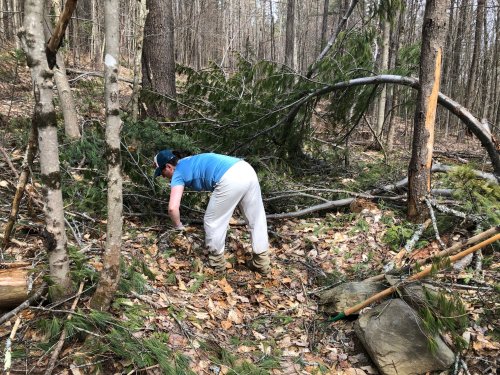 Clearing what limbs I can so that the volunteers with chainsaws have room to work.