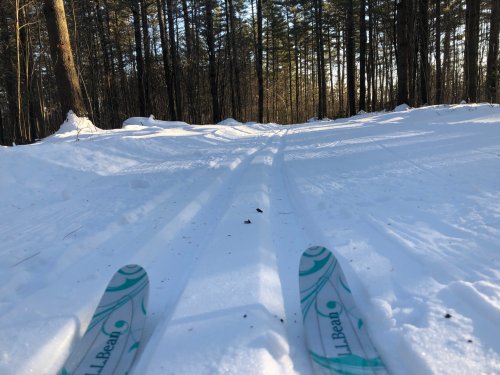 I can't run every day and follow the Ten Percent Rule. Thankfully, cross-training in a Maine winter is gorgeous fun!